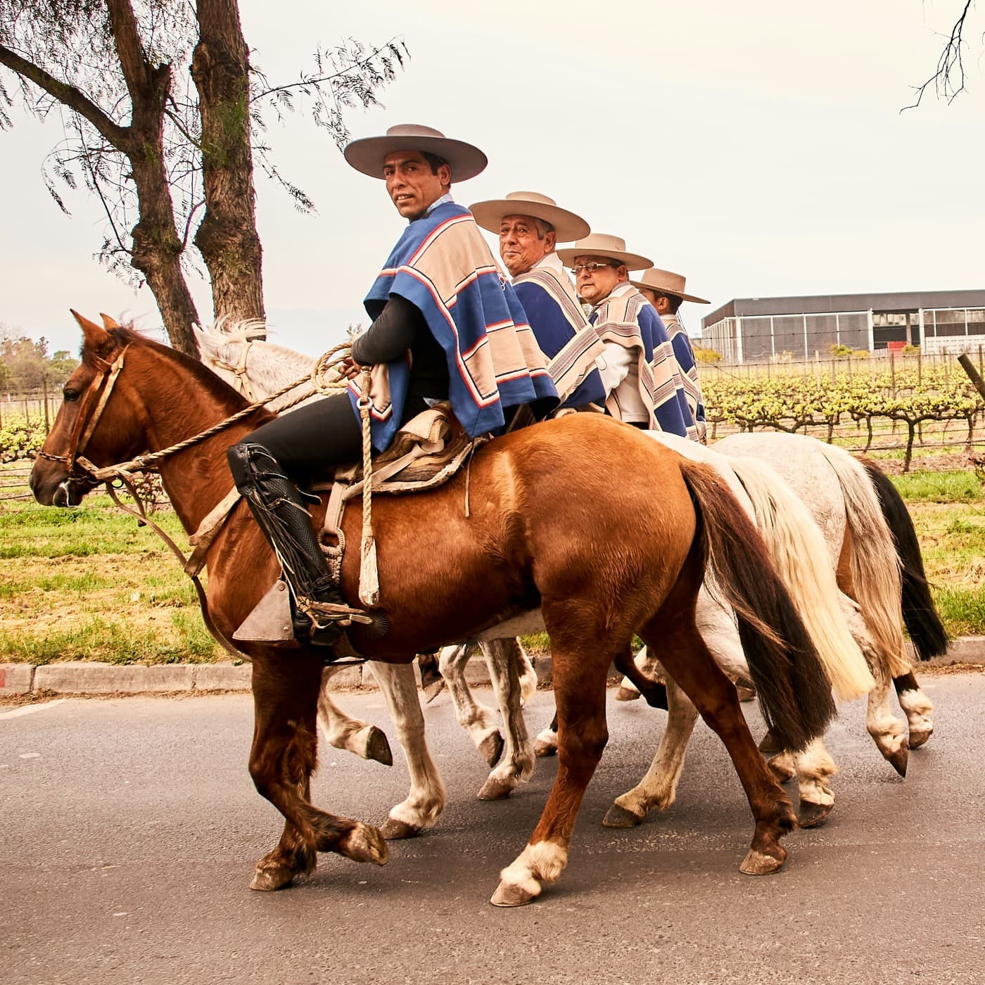 Spring celebration in Chile