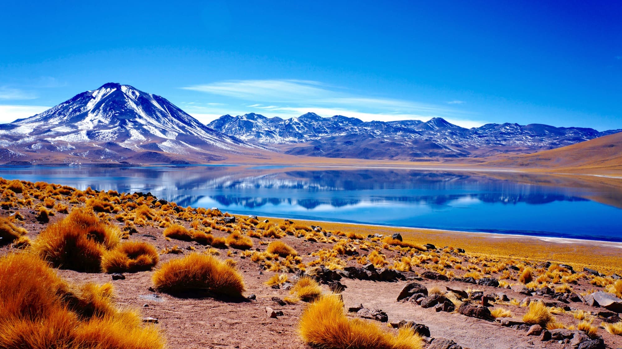 Laguna Miscanti in the Atacama Desert