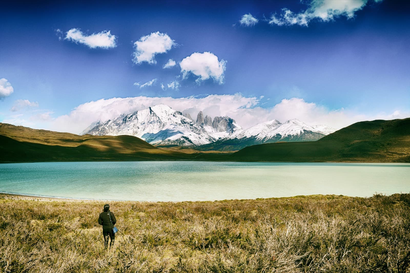 Patagonia landscape in Torres del Paine