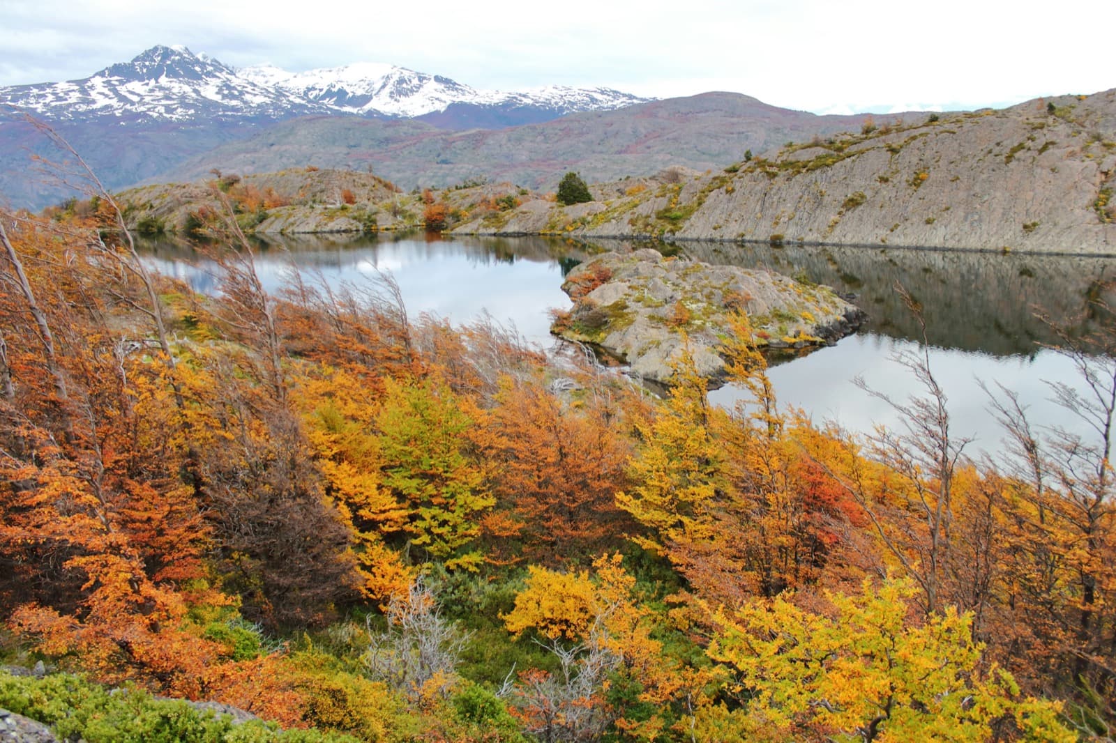 Autumn in Patagonia